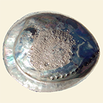 Abalone / Pāua Shell