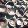 Abalone / Pāua Shell