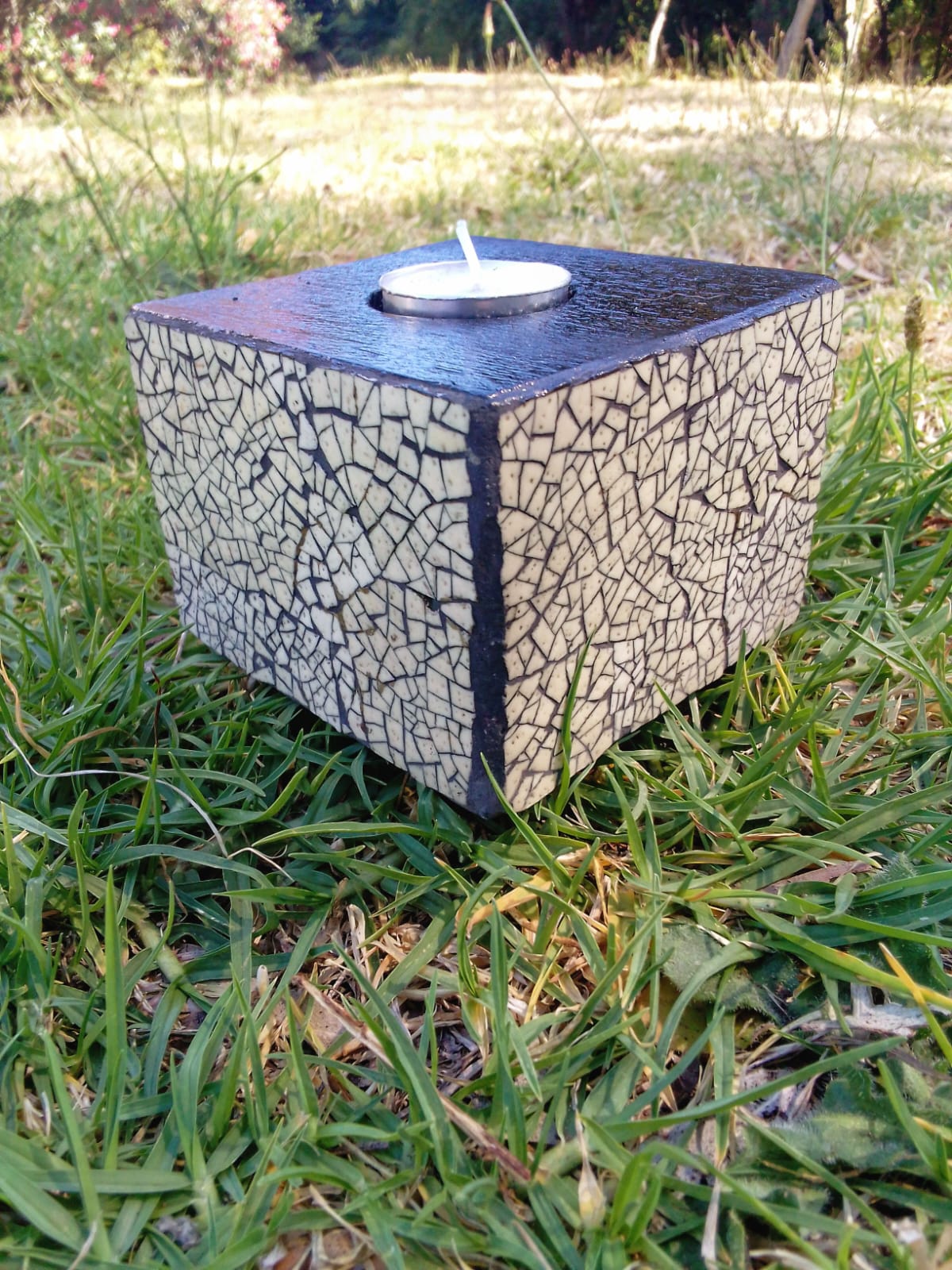 Abalone / Pāua Mosaic Coasters (Set of 4)